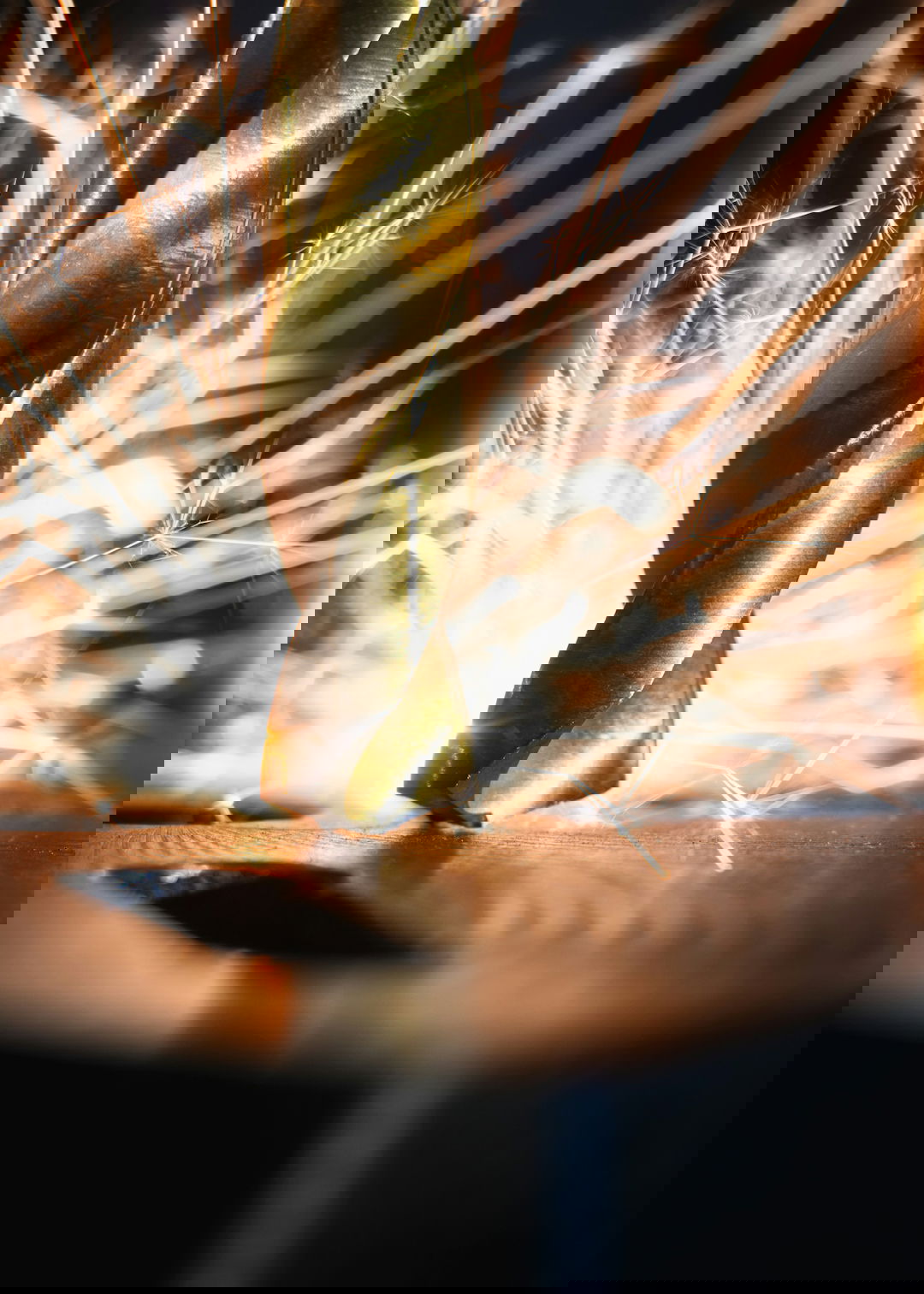 brown and green textile on brown wooden table